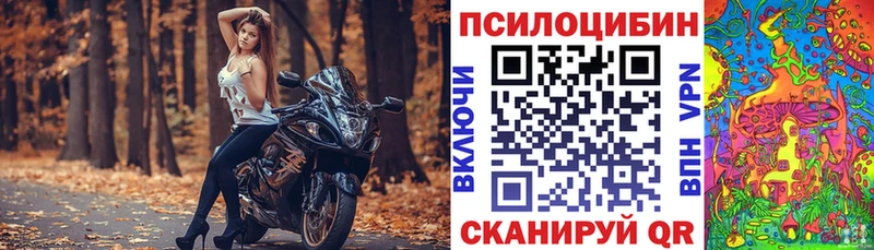 Галлюциногенные грибы Magic Shrooms  купить   Болгар 